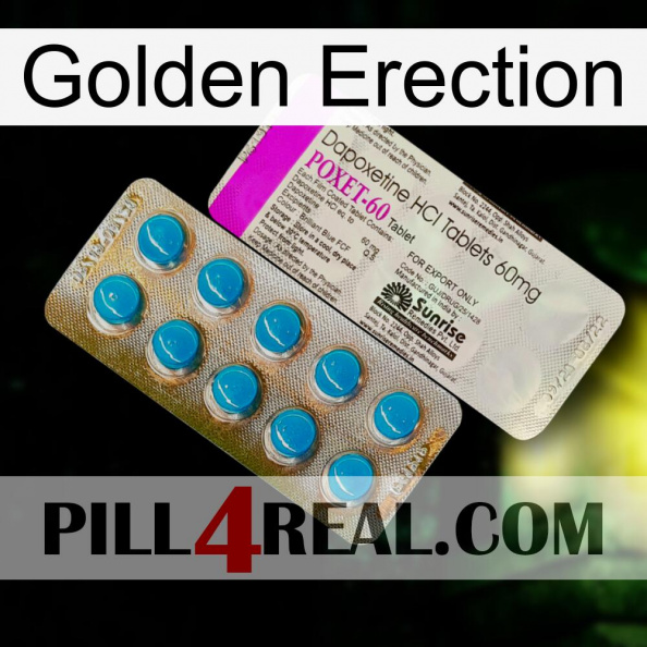 Golden Erection new07.jpg